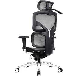 Want Home 享耀家 WantHome）F3A 松林人体工学椅 家用电脑椅 办公椅子 老板椅 电竞椅 网椅 格调灰