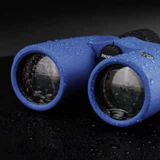 双筒望远镜充氮防水高倍高清微光夜视演唱会望远镜90P10*42蓝色