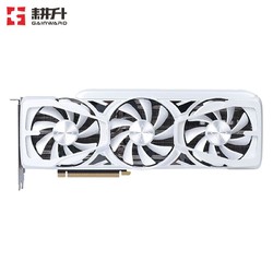 GAINWARD 耕升 RTX 3070Ti 8GB 电脑游戏显卡 RTX3070TI 星极皓月