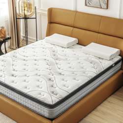 金橡树 泰国进口乳胶独立弹簧椰棕席梦思 软硬可调双人床垫1.8米*2米好梦