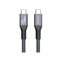 PLUS会员：ORICO 奥睿科 TBZ 双Type-C USB4/雷电4 数据线 0.3米 直头