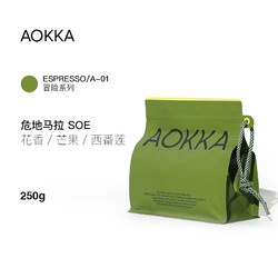 AOKKA 澳咖 埃塞耶加雪菲水洗SOE 意式咖啡豆 250g