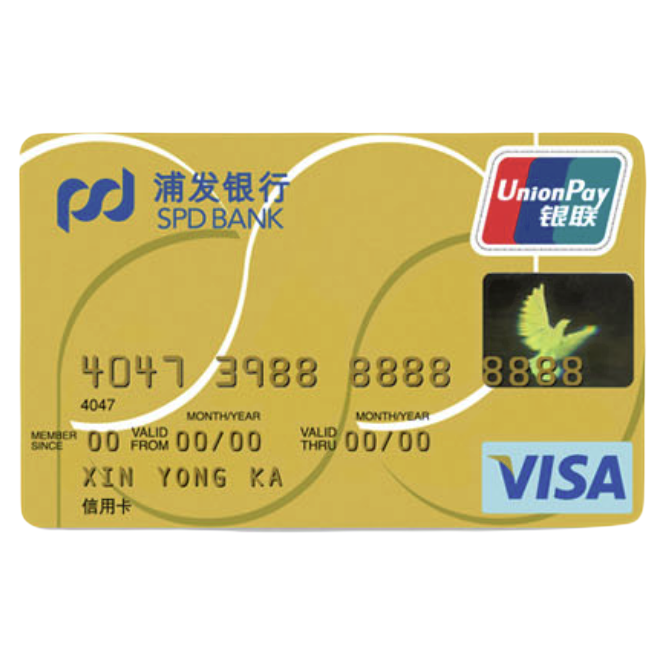 SPD BANK 浦发银行 标准系列 信用卡金卡 (银联+VISA)
