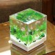 PLUS会员：SUNSUN 森森 小型超白玻璃鱼缸 18cm