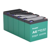 TIANNENG BATTERY 天能电池 A6 电动车铅酸电池 60V20Ah