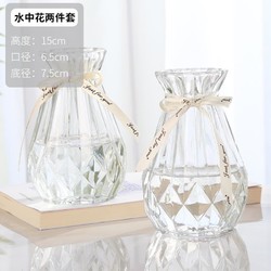 SPBB 神瓶八玻 玻璃干花透明花瓶欧式水培绿萝植物花瓶客厅摆件百合插 15水中花透明2个