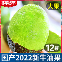 甘福园 云南新鲜牛油果12个装大鳄梨当季国产水果墨西哥品种宝宝辅食包邮 中果【单果100-140g】4个
