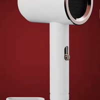 百魁 负离子吹风机