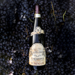 tommasi托马斯amarone阿玛罗尼干红葡萄酒2016年750ml