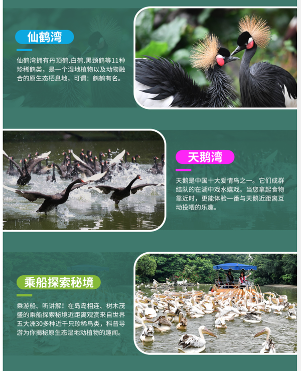 可以看鳥飛的主題樂園！廣州長隆飛鳥樂園多款票種（可選成人票/兒童票/年卡等）