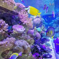 上海君澜 NARADA HOTEL酒店 景观大床房