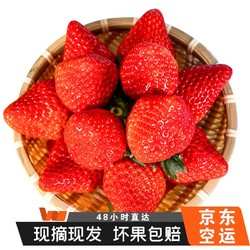 野森达 新鲜红颜99草莓   3斤