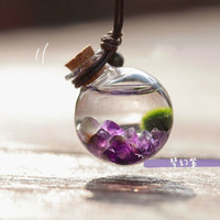 ONEVAN 海藻球随身瓶水晶生态瓶海藻球微景观许愿瓶 梦幻紫