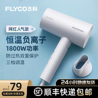 FLYCO 飞科 吹风机 家用电吹风负离子深度养发大功率 便携家用学生宿舍可折叠吹风机FH6276