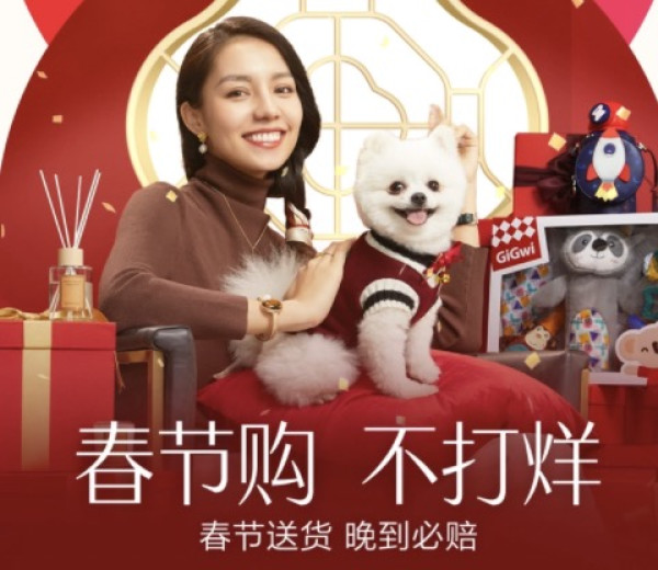 促销活动考拉海购过年不打烊主会场