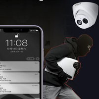 da hua 大华 DH-P30T1-A 监控摄像头 300万