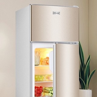 RIPU 日普 BCD系列 直冷冰箱