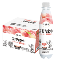 天地精华 无糖0脂白桃味苏打气泡水饮料480ml*15瓶/箱