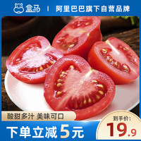 盒马 绿行者心里红番茄3斤单果50g新鲜西红柿水果蔬菜小番茄自然熟