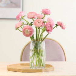 插花桌面装饰清新礼物速递预售随机色洋牡丹10枝下单后48h起陆续发货