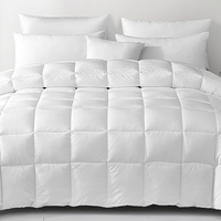 杜邦索瑞纳立体抗菌冬被 200*230cm