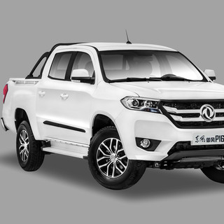 DONGFENG MOTOR 东风汽车 御风P16 20款 长轴 2.4T 手动 两驱 舒适版 汽油 国VI