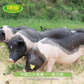 LUBAO 陆宝 陆川土猪五花肉扣肉广西玉林陆川猪特产农家自制真空装 500g*3包