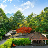 杭州雷迪森龙井庄园高级山景大/双床房