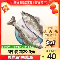 鲜城故事 速冻白蕉海鲈鱼2条装1kg珠海地标咸淡水养殖海鲜水产生鲜