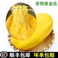 崇明金丝瓜 黄金瓜 金丝搅瓜角瓜绞瓜食材新鲜蔬菜 4-5斤