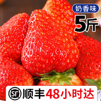 草莓新鲜水果5斤当季顺丰包邮3礼盒九九奶油红颜丹东99牛奶大草莓