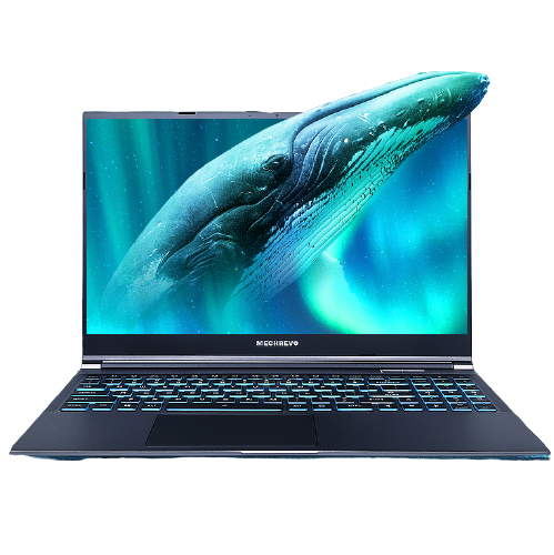 6英寸 轻薄本 灰色 (酷睿i7-12700h,rtx 3060 6g,16gb,512gb ssd,2k