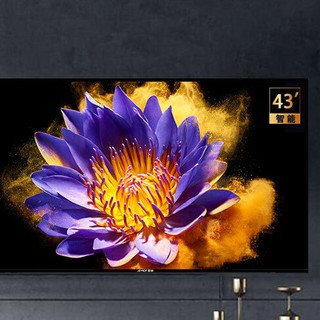 AMOI 夏新 MX43-YY 液晶电视 43英寸 1080P