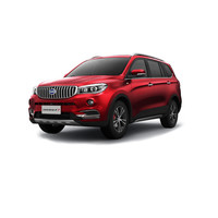 SWM 斯威汽车 X7 20款 2.0L 手动 冠军版 7座