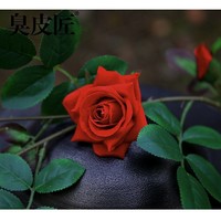 臭皮匠 1.8m红色玫瑰花藤条 每条18朵花