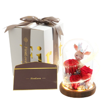 第一爱 仙女鹿永生花