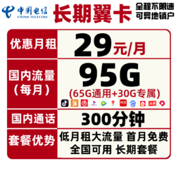 CHINA TELECOM 中国电信 内部流量卡 电信长期翼卡29包95G全国流量+300分钟国内通话 长期套餐 永久可用 不限速 随时下架