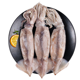 美加佳 鲜冻整只大鱿鱼（2-3只） 净重550g 国产海鲜 整条鱿鱼 深海捕捞海鲜 火锅烧烤食材