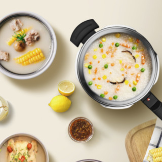 Fissler 菲仕乐 高压锅(22cm、2.5L、18/10不锈钢)