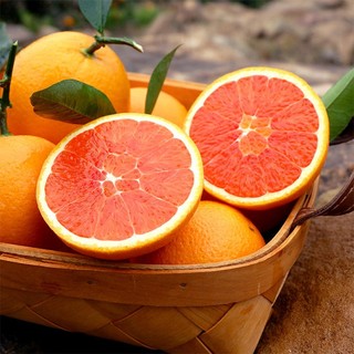 CJVC 湖北 中华红血橙 宝宝橙 5斤装 单果70-85mm 高端橙子 新鲜水果 生鲜 产地直发