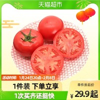 绿行者桃太郎番茄新鲜西红柿2.5kg可生吃自然熟生鲜蔬菜顺丰配送