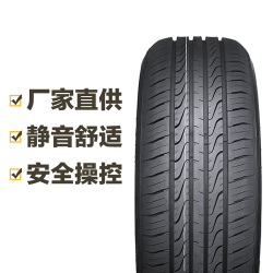 doublestar双星轮胎dh0620555r1691v