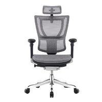 Ergonor 保友办公家具 优旗舰版 人体工学电脑椅 黑色+银白色