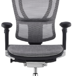 Ergonor 保友办公家具 优 人体工学电脑椅 黑色+银白色 旗舰版