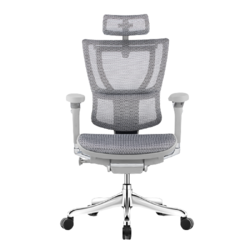 Ergonor 保友办公家具 保友优旗舰 2代 高端人体工学椅电脑椅家用 灰色+银白色 旗舰版