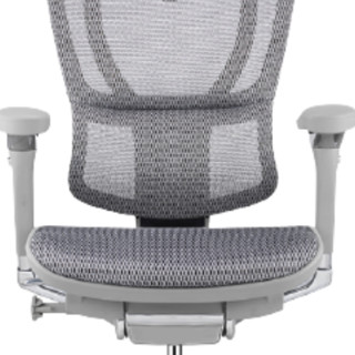 Ergonor 保友办公家具 优 人体工学电脑椅 灰色+银白色 旗舰版