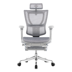 Ergonor 保友办公家具 优 人体工学电脑椅+躺舒宝 灰色+银白 旗舰版