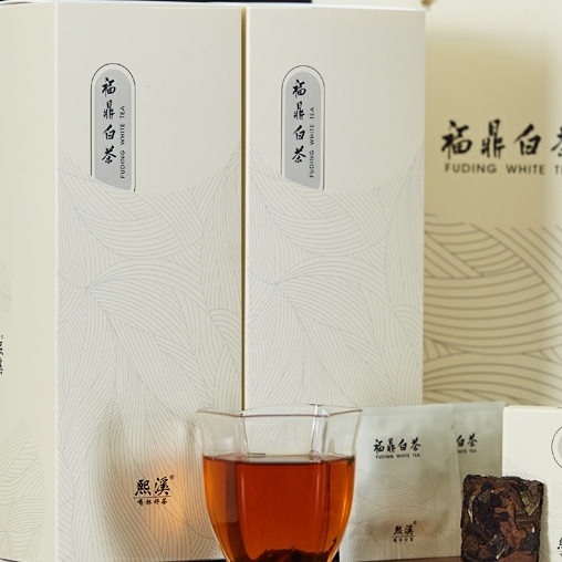 熙溪陈皮白茶2017陈皮福鼎寿眉老白茶茶叶50g（10片）饼干茶便携装
