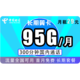 中国电信 长期翼卡 月租29元 95G（65G通用+30G专属）+300分钟通话