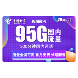 CHINA TELECOM 中国电信 长期翼卡 29元/月 95G全国（65G通用+30G专属）+ 300分钟通话